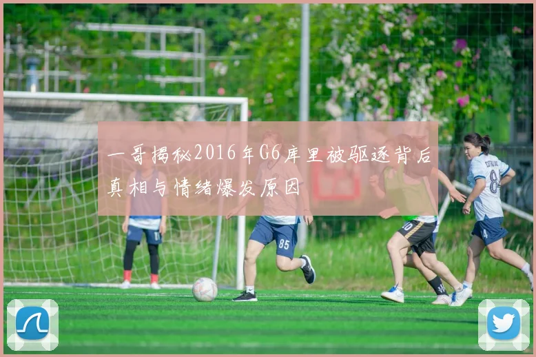 一哥揭秘2016年G6库里被驱逐背后真相与情绪爆发原因