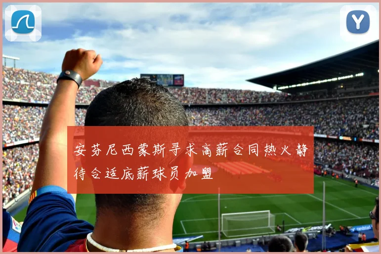 安芬尼西蒙斯寻求高薪合同热火静待合适底薪球员加盟