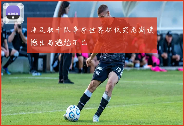 非足联十队争夺世界杯仅突尼斯遗憾出局尴尬不已
